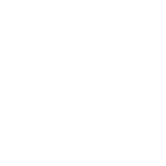 damel