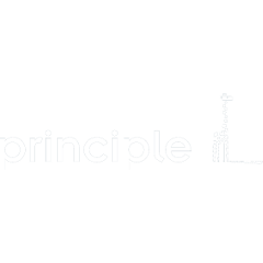 Principle